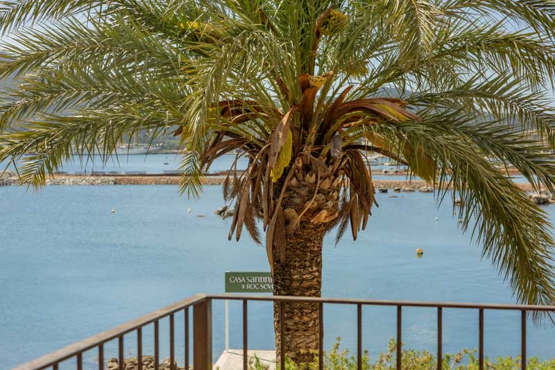Suites terrasse - Roc Seven Porto Vecchio