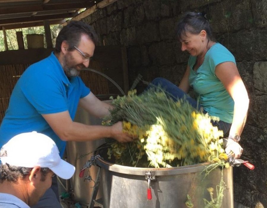 atelier huiles essentielles corses