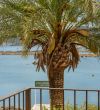 Suites terrasse - Roc Seven Porto Vecchio